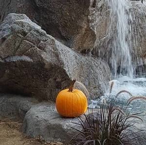 Meet your Posher, Candy